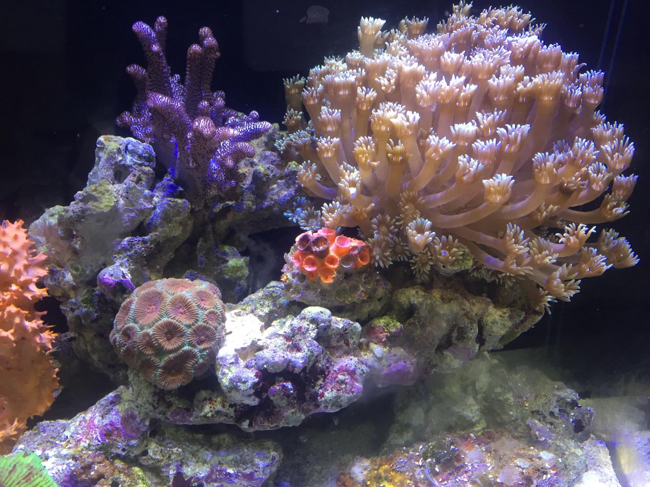 ����ʢ�硰��ɺ�˺�--ɺ����...