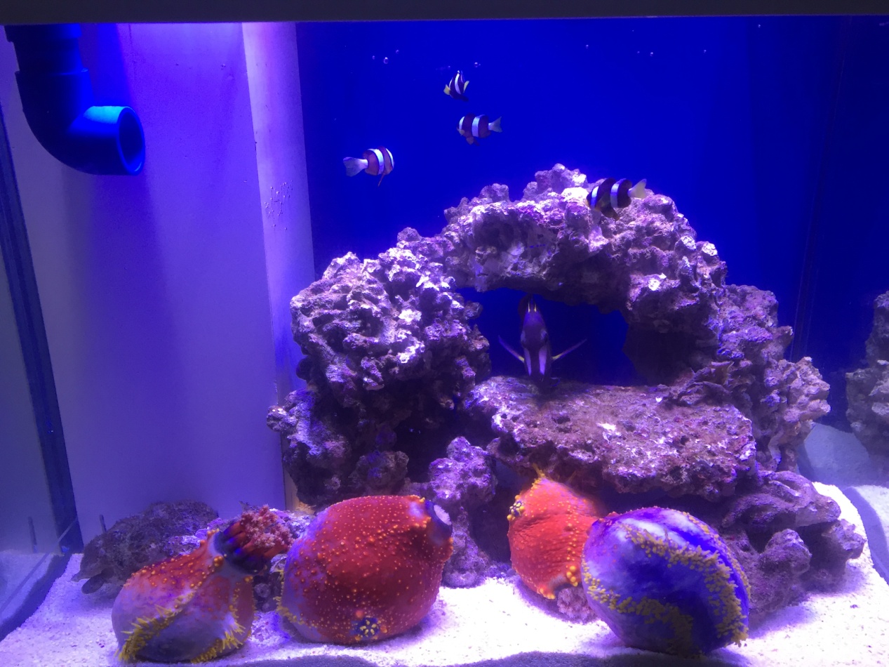 ����ɺ�˺�������ɺ�������...